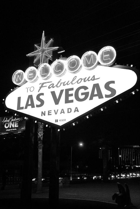 Abi Motto, Camorra Chronicles, Old Vegas, Vegas Night, Vegas Sign, Evelyn Hugo, Vegas Party, Cora Reilly, Fallout New Vegas