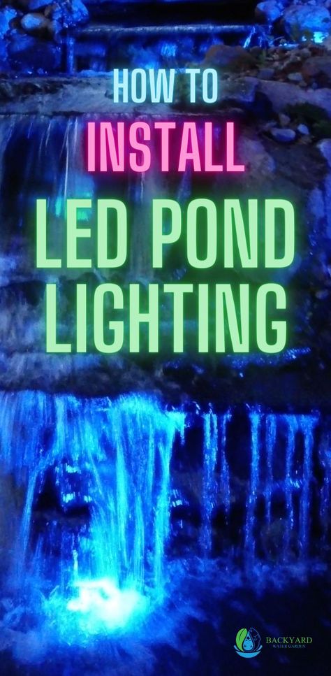 I show you step by step how to install professional LED lighting. It is so easy anyone can do it. Make a dramatic impact in a matter of minutes. This system can be used above or below the water, and will light up any landscape. Keep the party going all night long! Pond Lights Underwater, How To Make A Waterfall, Pond Lighting Ideas, Guppy Pond, Waterfall Lighting, Budget Landscaping Ideas, Landscape Ideas For Backyard, Fire Pit Modern, Simple Landscape Ideas