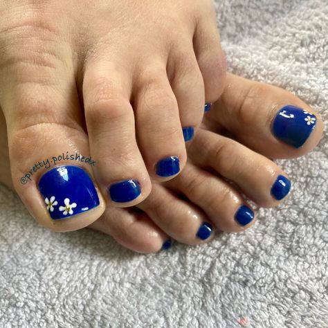 Royal Blue Pedicure, Royal Blue Toe Nails, Blue Pedicure, Blue Toe Nails, White Pedicure, Royal Blue Flowers, Flowers Daisies, Blue Toes, Gel Toes