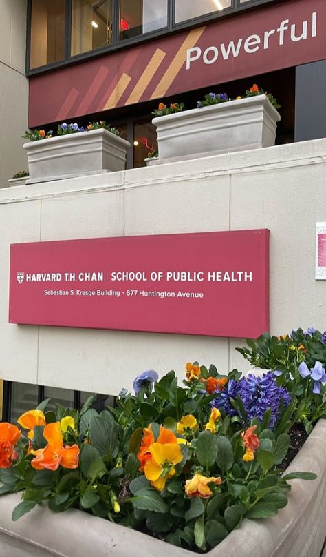 Harvard school of public health medicine college dream university aesthetic moodboard lifestyle Public Health Quotes, Public Health Career, Dream University, University Aesthetic, Career Motivation, Health Medicine, Career Vision Board, Vision Board Photos, Vision Board Goals