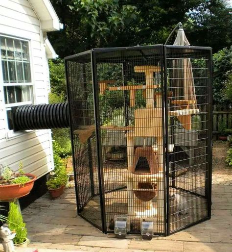 30 Free DIY Catio Plans - DIY Outdoor Cat Enclosure Outdoor Cat Run, Outside Cat Enclosure, Catio Plans, Ikea Cat, Diy Cat Enclosure, Katt Diy, Outdoor Cat Shelter, Cat Patio, Outdoor Cat Enclosure