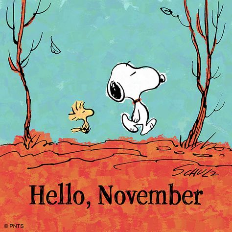 November Widget, Hallo November, Peanuts Quotes, Welcome November, November Wallpaper, Charlie Brown And Friends, Brown And Friends, Snoopy And Charlie Brown, Peanut Gang