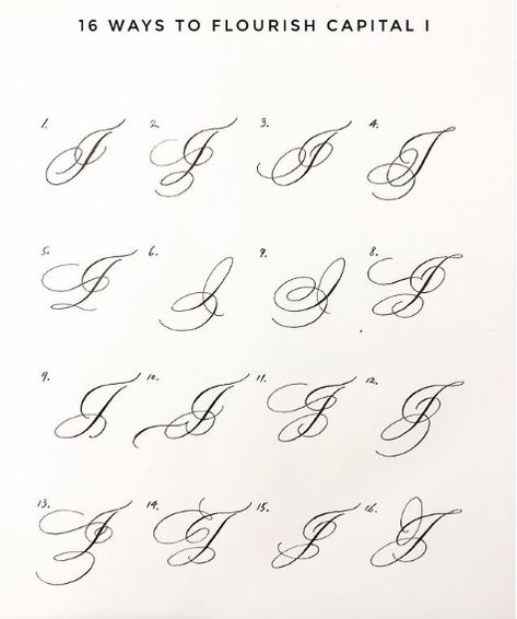 Capital I Calligraphy, Flourished Calligraphy Alphabet, Lettering Alphabet Handwritten, Capital I, Fonts For Tattoos, Calligraphy Writing Styles, Tattoos Fonts, Calligraphy Letters Alphabet, Flourish Calligraphy