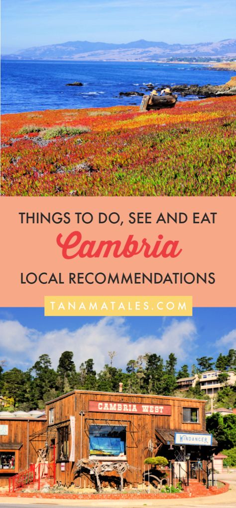 Things to do in #Cambria, #California – Cambria, a small coastal town in San Luis Obispo County, is known for its Moonstone Beach, European-style village, natural preserves, and its proximity to Hearst Castle, San Simeon and Big Sur.  Get ready because I am spilling the beans on the best things to do in Cambria, a true gem of the Central Coast.  Plus, I have tons of restaurants recommendations.  #roadtrip #beachtown #PCH #CentralCoast Places To Visit In Southern California, Moonstone Beach Cambria, Best California Beach Towns, Cambria California Things To Do, San Simeon California, Cambria California, Capistrano Beach California, Carmel By The Sea California, Moonstone Beach California