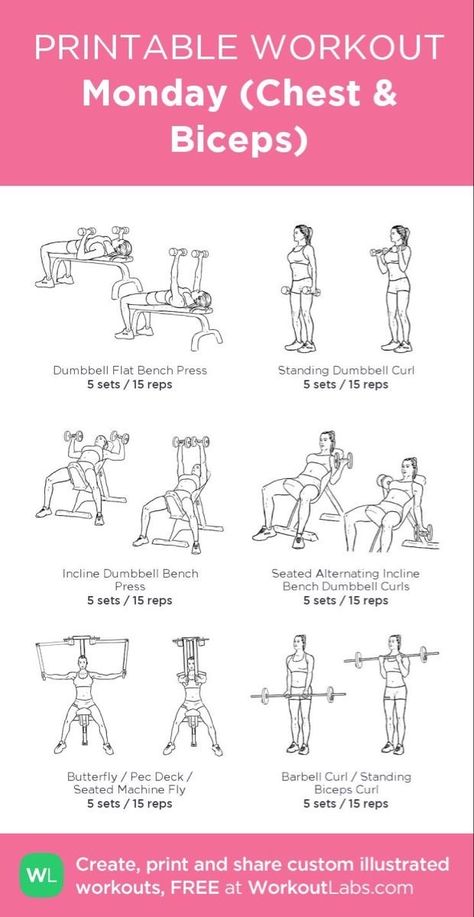 Gym Workout Chest For Women, Workout Sets And Reps Gym, Chest And Biceps Workout Women, Biceps Chest Workout, Womens Planet Fitness Workout, Bicep And Chest Workout Women, Gym Workouts Women Chest, Back Workout Women Gym Weights, Chest And Bicep Workout Gym