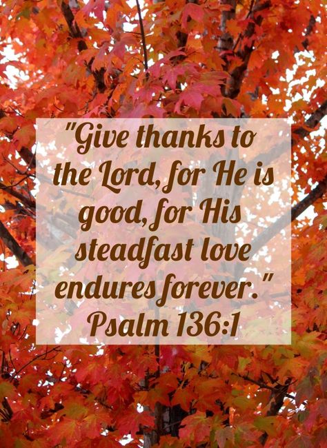 Give Thanks With A Grateful Heart, Fall Scripture, Psalm 136, Sunday School Coloring Pages, In Everything Give Thanks, Give Thanks To The Lord, Psalm 9, Psalm 100, Thanksgiving Wishes