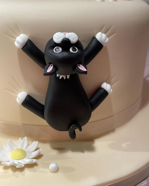 Black Cat Fondant, Cat Fondant, Fondant Cat Cake, Cat Fondant Topper, 3d Cat Cake Tutorial, Cat Cake Two Tier, Cat Theme Cake Kid Birthdays, Flower Pot Cake, Cake Models