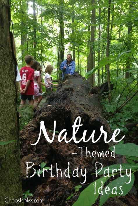 Have a child that loves the outdoors? Here are some fun party planning tips for a nature-themed birthday party. Nature Birthday Party Games, Nature Birthday Activities, Outdoor Woods Birthday Party, 2nd Birthday Nature Theme, Camp Themed Birthday Party Activities, Outdoor Adventure Birthday Party Ideas, Camping Theme Birthday Party Activities, Outdoors Party Theme, Survival Theme Birthday Party