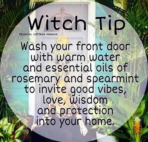 MtnWitch on Instagram: “This is a great step to add to your Imbolc mid-winter or spring cleaning. You can add fresh or dried herbs to hot water and let them sit…” Witchy Tips, The Words, A Woman, Witch, Plants