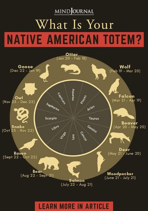 Native American Zodiac Sign: Your Native American Totem Animal Animals Meaning, Native American Animal Symbols, Animal Symbols, Native American Animals, American Quotes, Native American Quotes, American Animals, American Symbols, Animal Symbolism