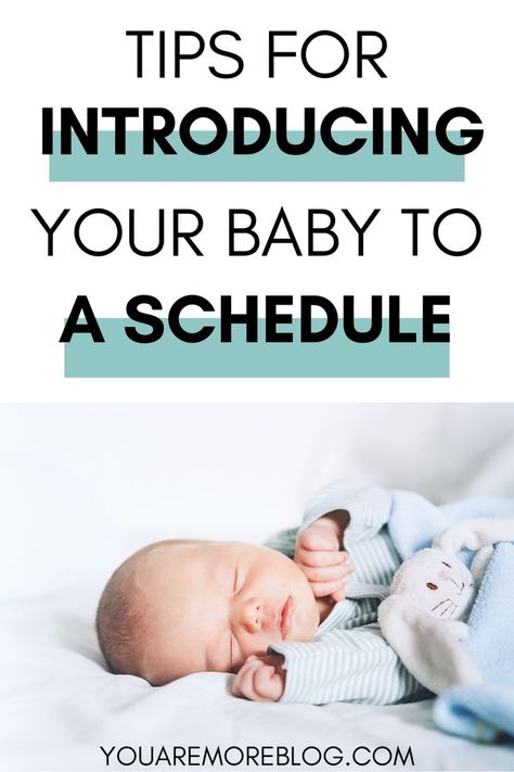 Sample Newborn Schedule, Newborn Baby Schedule, Start A Routine, Baby Check, Newborn Schedule, Baby Schedule, Baby Sleep Schedule, Sleep Training Baby, Sleep Tips