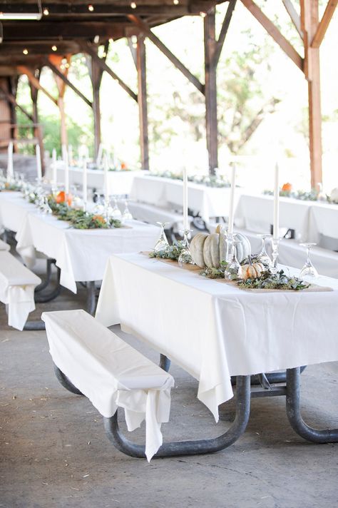 campground reception - photo by Jenny Smith and Co http://ruffledblog.com/pumpkin-themed-fall-wedding Picnic Table Wedding, Pavilion Wedding Reception, Pavillion Wedding, Wedding Reception Themes, Jenny Smith, Campground Wedding, Picnic Table Covers, Picnic Table Bench, Fall Picnic