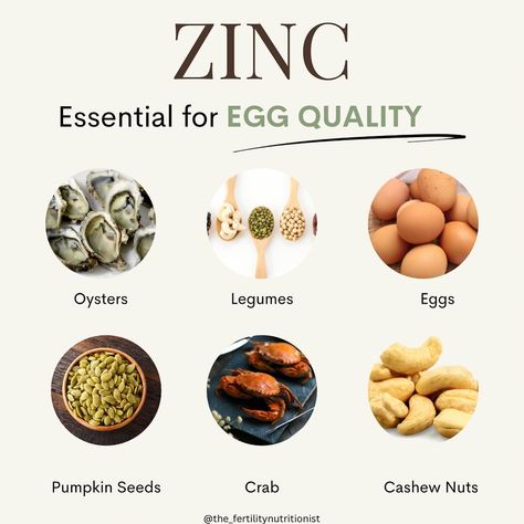 ESSENTIAL FOR EGG QUALITY 🥚 ⬇️ As you age, your egg count & quality naturally start to decline Zinc is one of my favorite ways to support egg quality and fertility: Make sure you save this post and follow @the_fertilitynutritionist for more! Zinc can…. 👉Enhance Egg Quality: Zinc is crucial for DNA synthesis and repair, which are essential for optimal egg development and quality. 👉Promote Ovulation: Adequate zinc levels help regulate hormonal balance, supporting regular ovulation and menstr... Zinc Foods, Zinc Rich Foods, Egg Quality, Fertility Foods, Improve Fertility, Diet Lifestyle, Fertility Boost, Hormonal Balance, Women Health Care