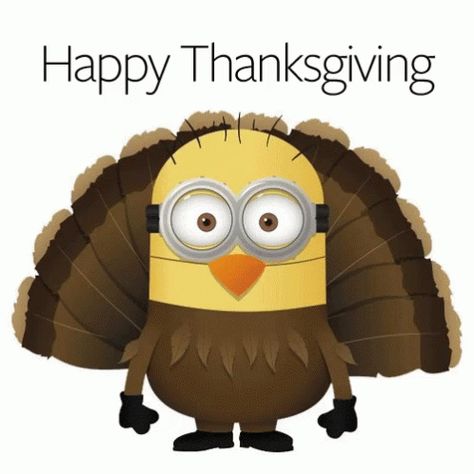 Minion Happy Thanksgiving GIF - Minion HappyThanksgiving November - Discover & Share GIFs Minion Classroom, Happy Thanksgiving Pictures, Happy Thanksgiving Images, Minion Gif, Funny Minion Pictures, Animiertes Gif, Thanksgiving Pictures, Minion Pictures, Minions Love