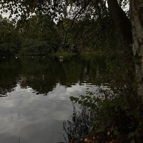 Earth Esthetics, Pond Aesthetic Dark, Green Pond Aesthetic, Lakes Aesthetic Dark, Dark Green Rain Aesthetic, Dark Green Naturalism Aesthetic, Dark Forest Aesthetic, Dark Naturalism, Dark Nature