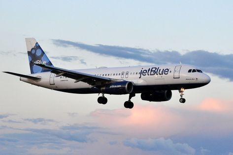 These 14 JetBlue Facts Will Make You Love the Airline Even More Jet Blue Airlines, Airplane Food, Blue Juice, Living In North Carolina, Living In Boston, Smart Living, Real Life Stories, Food Travel, Holiday Travel