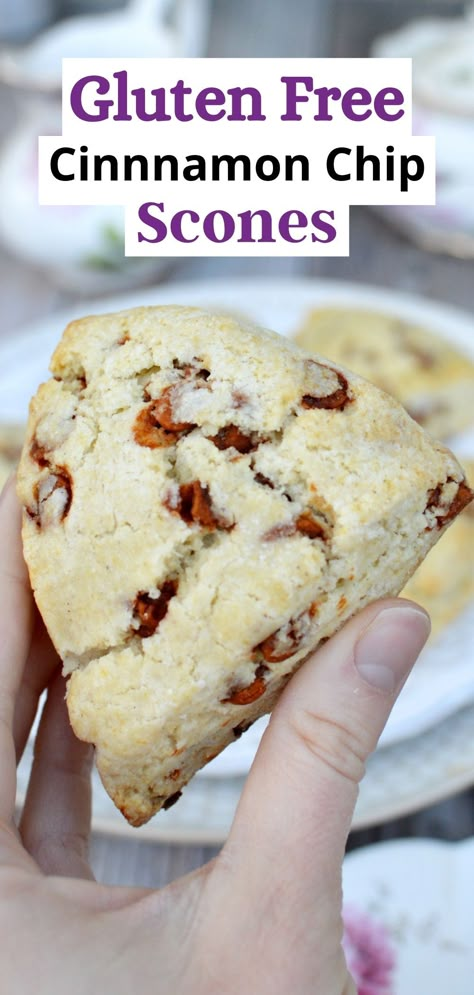 close up of a gluten-free scone Gluten Free Chocolate Chip Scones Recipe, Gluten Free Chocolate Chip Scones, Gluten Free Vanilla Scones, Gf Scones Recipe, Gluten Free Cinnamon Scones, Gluten Free Scones Recipe, Gf Scones, Gluten Free Bisquick Recipes, Scones Cinnamon