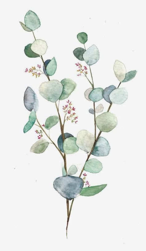 Botanical Flowers Print, Illustration Botanique, Diy Watercolor Painting, Watercolor Plants, Watercolor Flower Art, Botanical Watercolor, Eucalyptus Leaves, Arte Floral, Leaf Art