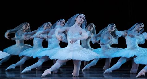 La Bayadère Kingdom of Shades Wedding Dress Halter Neck, Houston Ballet, Breaking Boundaries, Dance Magazine, Australian Ballet, Dance Forever, Ballet Performances, Houston Photography, Ballerina Dancing