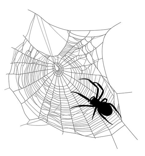 Spider web. Spider on the web - black insect silhouette crawling the net on whit #Sponsored , #PAID, #Affiliate, #web, #insect, #net, #black Spider Crawling, Spider Web Drawing, Outlaw Tattoo, Black Widow Tattoo, Black Insects, Spider Net, Spider Illustration, Book Sketch, Spider Drawing