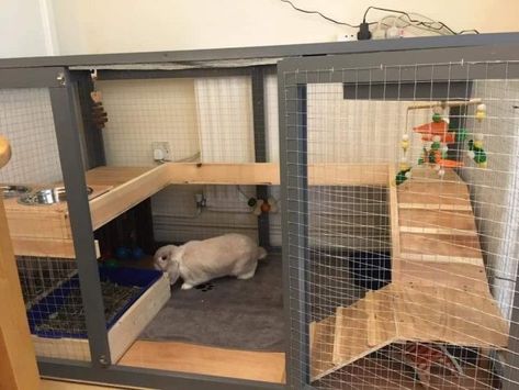 Diy Bunny Cage, Indoor Rabbit House, Diy Rabbit Cage, Rabbit Hutch Indoor, Indoor Rabbit Cage, Diy Rabbit Hutch, Rabbit Pen, Outdoor Rabbit Hutch, Rabbit Enclosure