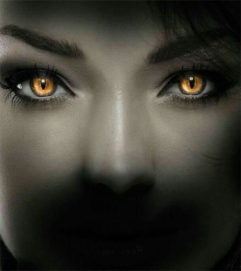 Vampire Eyes Realistic Eye Drawing, Wolf Eyes, Human Eyes, Realistic Eye, She Wolf, Human Eye, Photoshop Tips, Yellow Eyes, Jolie Photo