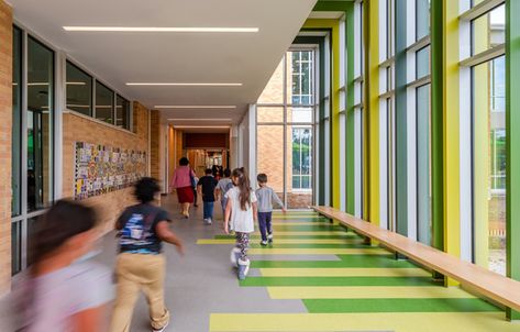 K 12 School Architecture, Elementary School Corridor Design, Elementary Schools Architecture, Modern School Interior Design, Elementary School Design Architecture, Elementary School Interior Design, School Design Interior, School Corridor Design, Modern School Interior