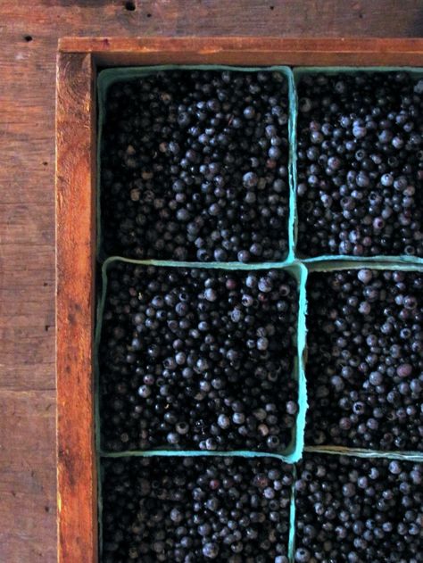 the best ever Maine Blueberries, Maine Attractions, Maine Photos, Bailey Island Maine, Maine Recipes, Moosehead Lake Maine, Sweet Fern, Feeling Homesick, Kittery Maine