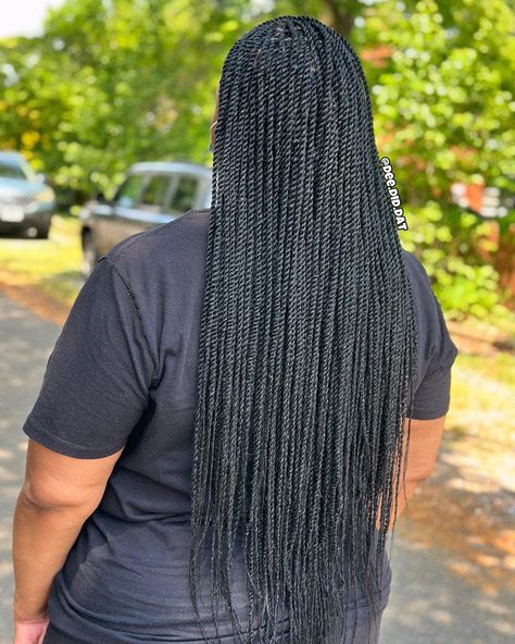 ⁣⁣⁣⁣⁣⁣⁣⁣⁣⁣small individual twists are the 𝘱𝘦𝘳𝘳𝘳𝘳𝘧𝘦𝘤𝘤𝘵𝘵 look for my naturals who want the senegalese twist vibe w/ a natural 𝐤𝐢𝐧𝐤 ! this hair mimics natural texture perfectly 🤩 achieved with my 𝘧𝘭𝘢𝘸𝘭𝘦𝘴𝘴𝘴𝘴 technique ; install can last up to 12 weeks . ⁣ #twiststyles #protectivestyles #protectivebraidshairstyles #protectivebraidshairstyles #braids #braidstyles #braidsforblackwomen #braidsforblackhair #blackgirlshairstyles #blackgirlhair #africanamericanhairstyles #locs Small Marley Twists, Twists Protective Styles, Protective Braids, Senegalese Twists, Individual Braids, Marley Twists, Twist Styles, Senegalese Twist, Braids For Black Women