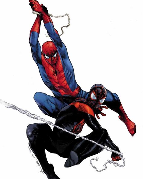 Spiderman Classic, Olivier Coipel, Spider Man Miles, Spider Man Miles Morales, Ultimate Spider Man, Comics Anime, Miles Morales Spiderman, Spectacular Spider Man, Spider Art