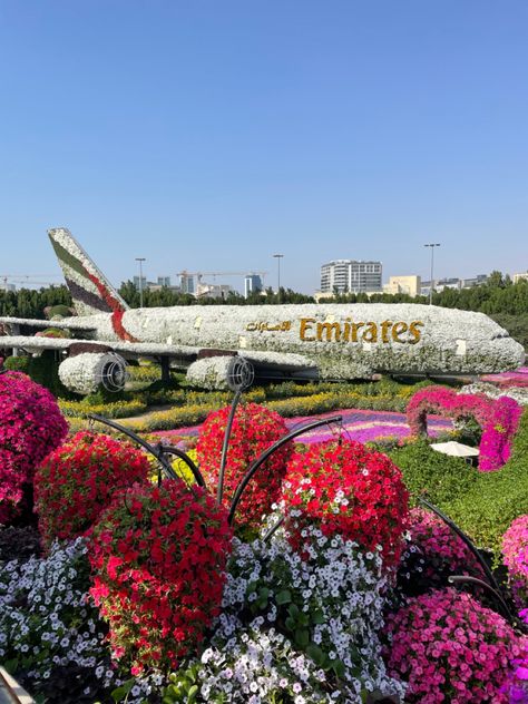 Dubai Flower Garden, Emirates Plane, Habibi Come To Dubai, Miracle Garden Dubai, Dubai Photoshoot, Dubai Emirates, Dubai Garden, Emirates Cabin Crew, Islamic Countries