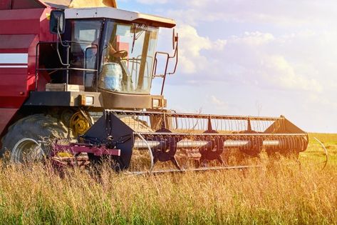 Harvester machine working to harvest rye... | Premium Photo #Freepik #photo #food #technology #summer #nature Harvester Machine, Rye Field, Food Technology, Photo Food, Photoshop For Photographers, Summer Nature, Harvest Festival, Rye, Premium Photo