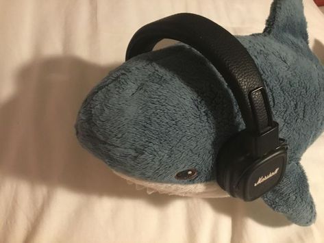 Ikea Shark, Silly Shark, Silly Sharks, Shark Pictures, Ocean Room, Shark Plush, Cute Shark, 웃긴 사진, Marine Biology