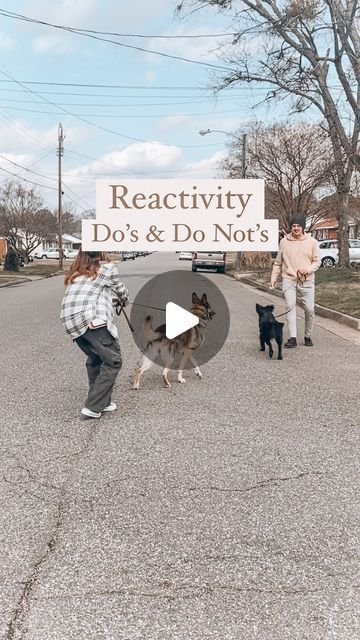 Leash Reactive Dog Training, Dog Growling, Puppy Life, Puppy Tips, Loose Leash Walking, Dog Walking Business, Puppies Tips, Dog Tricks, Reactive Dog