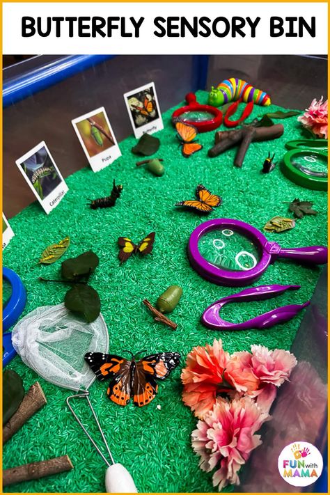 This butterfly sensory bin is an ideal sensory play activity for kids during spring! Learn and explore all about butterflies and life cycle Butterfly Sensory Table, Butterfly Life Cycle Sensory Bin, Insects Sensory Bin, Butterfly Provocations Kindergarten, Life Cycle Of Butterfly Activities, Bugs Activity For Preschool, Butterfly Sensory Play, Butterfly Sensory Activities, Butterfly Toddler Activities