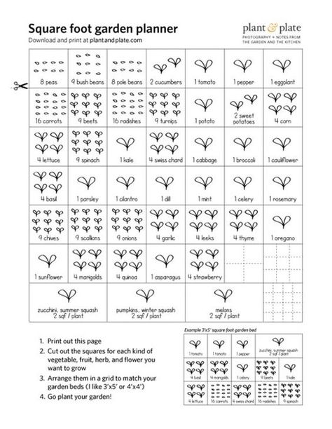 26 Handy Architecture Cheat Sheets, <a href='http://www.plantandplate.com/printable-square-foot-gardening-cheat-sheets/'> Plant and Plate / via Pinterest</a> Gardening Lettuce, Gardening Layout, Soil Mixture, Gardening Australia, Square Foot Garden, Gardening Guide, Garden Watering, Garden Planner, Square Foot Gardening