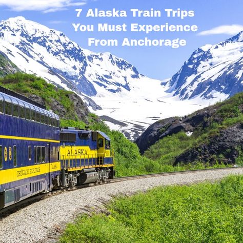 Anchorage makes the perfect base to explore Alaska by train. The Alaska Railroad operates year-round passenger service connecting Anchorage to coastal cities and the interior of Alaska. Many of these trips are perfect for memorable, scenic day trips from Anchorage. Discover the best train trips you need to add to your bucket list! Alaska Train Trips, Alaska Train, Alaska Railroad, Alaska Wildlife, Train Trips, Alaska Vacation, Kenai Fjords, Anchorage Alaska, Coastal Cities