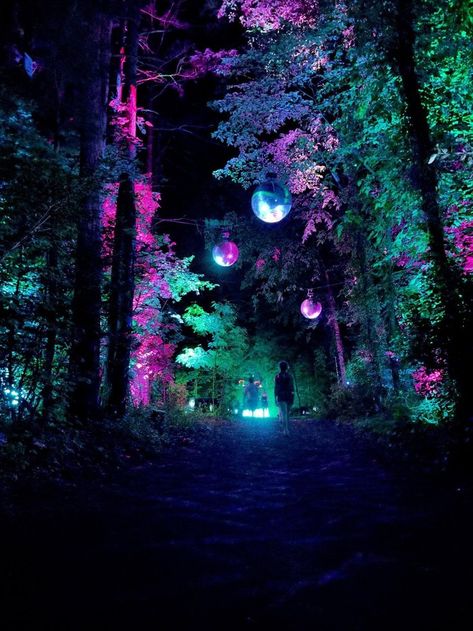 Haunted Woods Ideas Scary, Halloween Haunted Forest Ideas, Haunted Forest Aesthetic, Haunted Forest Ideas, Tulgey Woods, Party In The Forest, Haunted Farm, 2024 Activities, Creepy Forest