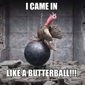 The Best Thanksgiving Memes That Will Make Your Turkey Day So Much Better Turkey Meme, Funny Thanksgiving Memes, Thanksgiving Meme, Thanksgiving Jokes, Thanksgiving Pictures, Funny Turkey, Funny Disney, Thanksgiving Quotes, Friday Humor