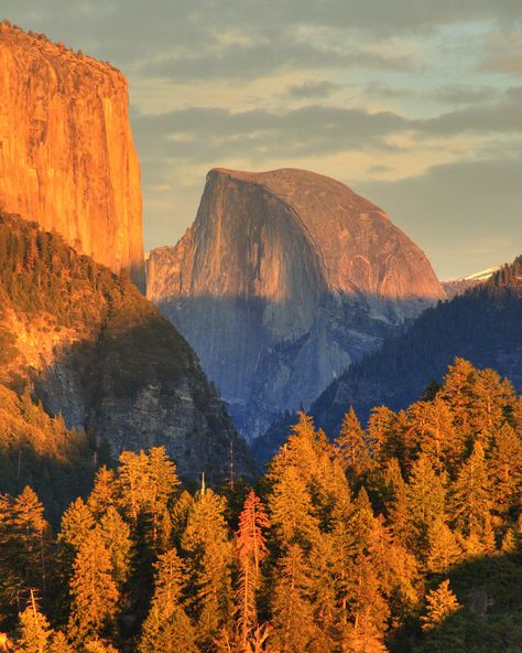 Colorado National Parks, Wanderlust Tattoo, Wanderlust Decor, Yosemite Park, National Parks Photography, National Park California, Mountain Tattoo, Yosemite Valley, Valley View