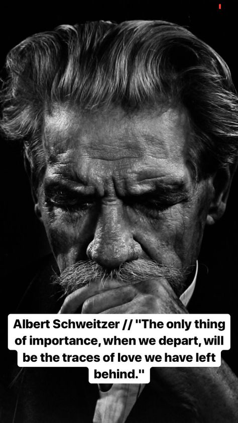 Underground Forest, Albert Schweitzer Quotes, Quotes Dream, Albert Schweitzer, Self Improvement Quotes, Career Quotes, Recovery Quotes, Robert Kiyosaki, Dream Quotes