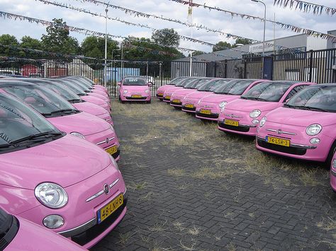 Utrecht: Pink Fiats 500 by harry_nl, via Flickr Fiat 500 Pink, Pink Mercedes, Pink Car Interior, Pink Bmw, Pink Ferrari, Pink Lamborghini, Fiat 500 Car, Wallpapers Pink, Pink Cars