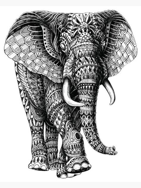 Elephant Mandala Tattoo, Mandala Arm Tattoo, Dotwork Tattoo Mandala, Ephemeral Tattoo, Zentangle Animals, Marquesan Tattoos, Elephant God, Elephant Drawing, Mandalas Painting