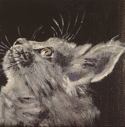 Daily Painting Challenge, Painting On Mini Canvas, Head Painting, Grey Artwork, Painting Challenge, Original Paintings For Sale, Gray Cat, Collage Artwork, Daily Painting