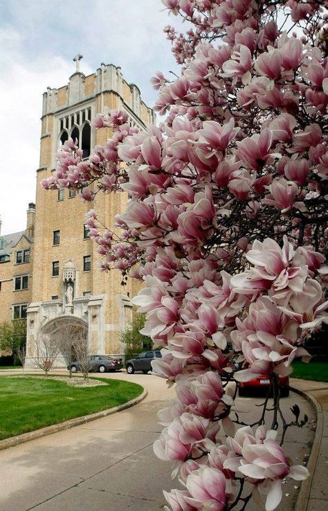 Saint Mary's College. Notre Dame, Indiana. Le Mans Hall Notre Dame Indiana, Saint Marys College, Life After High School, Go Irish, College Aesthetic, Saint Marys, Notre Dame University, Senior Photoshoot, Saint Mary