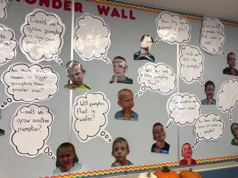 Wonder Wall Kindergarten, Wonder Wall Classroom, 1st Day Of School Pictures, Ib Pyp Classroom, Ib Classroom, Literacy Week, Wonder Wall, Boho Rainbow Classroom, Genius Hour