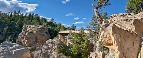 Dixie National Forest Utah, Things To Do In Utah, Escalante National Monument, Nature Science, Pine Mountain, Cedar City, Utah Travel, Forest Road, Scenic Byway