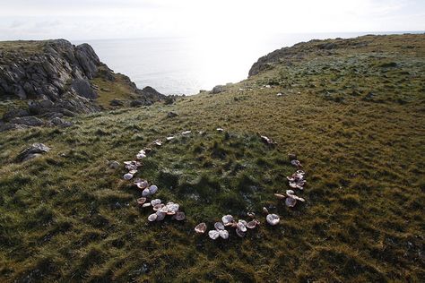 Mushroom Circle | Flickr - Photo Sharing! Spiderwick Chronicles Aesthetic, Circle Of Spores Druid Aesthetic, Fairy Ring Mushroom, Mushroom Circle, Dark Fairy Core, Fairy Circle, Goblincore Aesthetic, Mushroom Ring, Fairy Ring