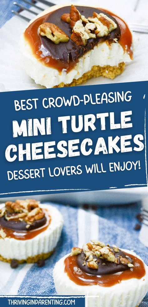 Mini Turtle Cheesecake, Turtle Cheesecake Recipe, Turtle Cheesecake Recipes, Mini Cheesecake Pan, Finger Desserts, Mini Turtle, Turtle Cheesecake, Apple Fritter Bread, Small Turtle