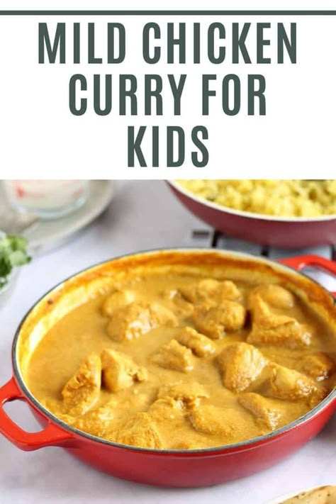 Mild Curry Recipes, Tofu Curry Recipes, Big Family Meal Ideas, Mild Chicken Curry Recipe, Make Ahead Dinner Recipes, Mild Chicken Curry, Busy Family Meals, Creamy Chicken Curry, Kid Friendly Dinner Recipes